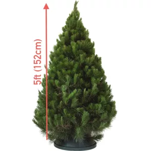 5ft 152cm Christmas tree